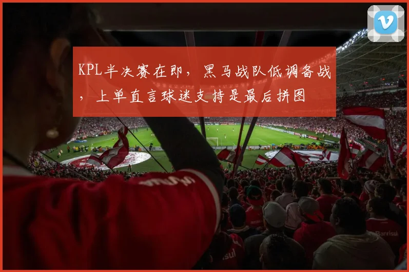 KPL半决赛在即，黑马战队低调备战，上单直言球迷支持是最后拼图